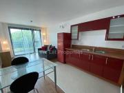 1 bedroom apartment for rent in City Point Two Chapel...