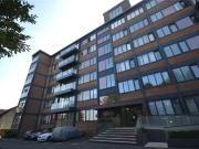 1 bedroom apartment for rent in Dutch Quarter...