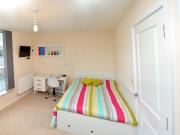 1 bedroom apartment for rent in Freemans Meadow,...