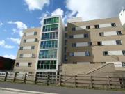 1 bedroom apartment for rent in Glenalmond Avenue,...