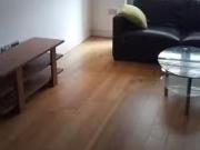 1 bedroom apartment for rent in Meridian Plaza, Bute...