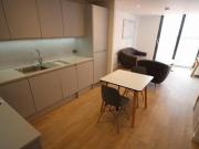1 bedroom apartment for rent in Oxid House 78 Newton...