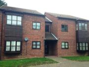 1 Bedroom Apartment For Rent In Runnymede Road