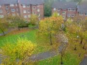 1 bedroom apartment for rent in St Leonards Park East...