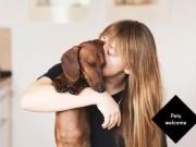 1 bedroom apartment for rent in The Whitmore Collection,...