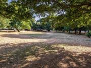 1 bedroom apartment for rent in Vernon Terrace,...