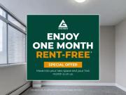 1 Bedroom Apartment Hamilton ON 96586950