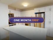 1 Bedroom Apartment Hamilton ON 96844586