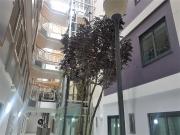 1 Bedroom Apartment House to Rent
