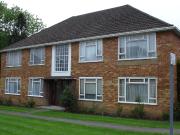 1 Bedroom Apartment House to Rent