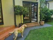 1 Bedroom Apartment in Brooklyn