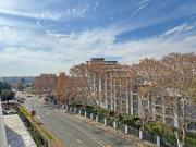 1 Bedroom Apartment in Illovo