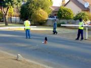 1 Bedroom Apartment in Klippoortje