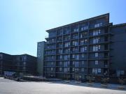 1 Bedroom Apartment in Lynnwood Manor