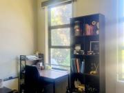 1 Bedroom Apartment in Rosebank