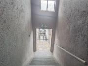 1 Bedroom Apartment in Sydenham