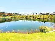 1 Bedroom Apartment in Waterkloof Ridge
