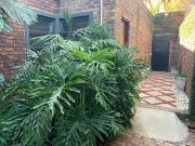 1 Bedroom Apartment in Waverley