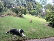 1 Bedroom Apartment in Waverley