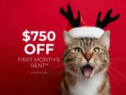 1 Bedroom Apartment Kamloops BC 97736190