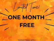 1 Bedroom Apartment Kitchener ON 96337275