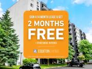 1 Bedroom Apartment Kitchener ON 96463248