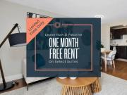 1 Bedroom Apartment Kitchener ON 99752422