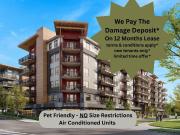 1 Bedroom Apartment Langley BC 96555556