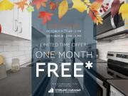 1 Bedroom Apartment London ON 94181937