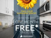 1 Bedroom Apartment London ON 94182046