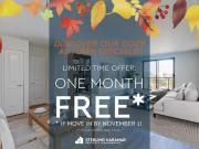 1 Bedroom Apartment London ON 94182440