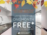 1 Bedroom Apartment London ON 94645045