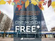 1 Bedroom Apartment London ON 95173963