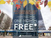 1 Bedroom Apartment London ON 96279675