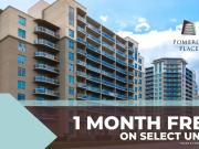 1 Bedroom Apartment London ON 96376904