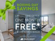 1 Bedroom Apartment London ON 97350556