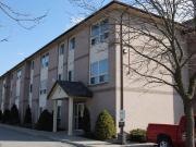 1 Bedroom Apartment London ON 97744197