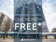 1 Bedroom Apartment London ON 97906546