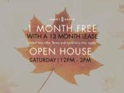 1 Bedroom Apartment North York ON 94952632