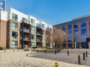 1 Bedroom Apartment Oakville ON LS99506282