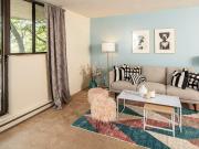 1 Bedroom Apartment Ottawa ON 95118498