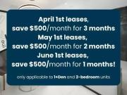 1 Bedroom Apartment Ottawa ON LS89436186 1 Bedroom Apartment Ottawa ON LS89436186