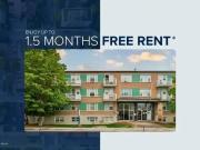 1 Bedroom Apartment Ottawa ON LS92568892