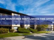 1 Bedroom Apartment Scarborough ON LS99503942