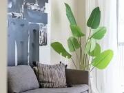 1 Bedroom Apartment Surrey BC 95516129