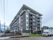 1 Bedroom Apartment Surrey BC 96979336