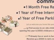 1 Bedroom Apartment Surrey BC 99907403