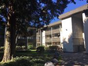 1 Bedroom Apartment Surrey BC LS92193296
