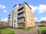 1 bedroom Apartment To Let