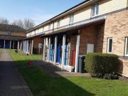 1 bedroom apartment to rent